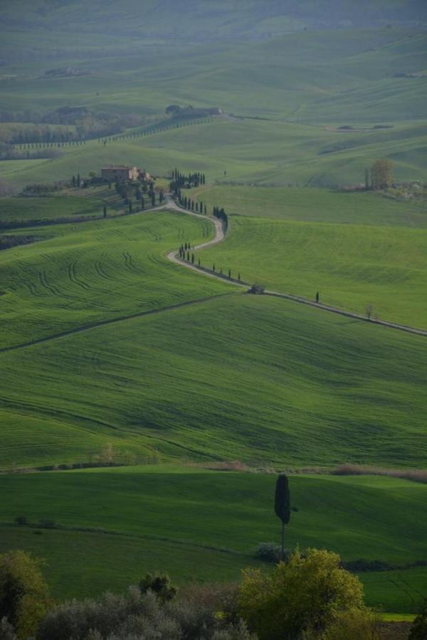 Siena-crete Senesi-val D'orcia Apartment *